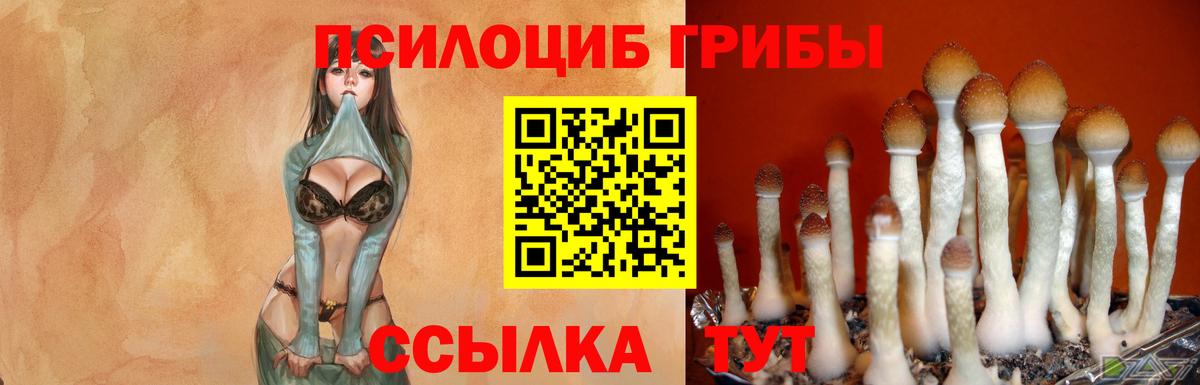 Галлюциногенные грибы MAGIC MUSHROOMS Сокол